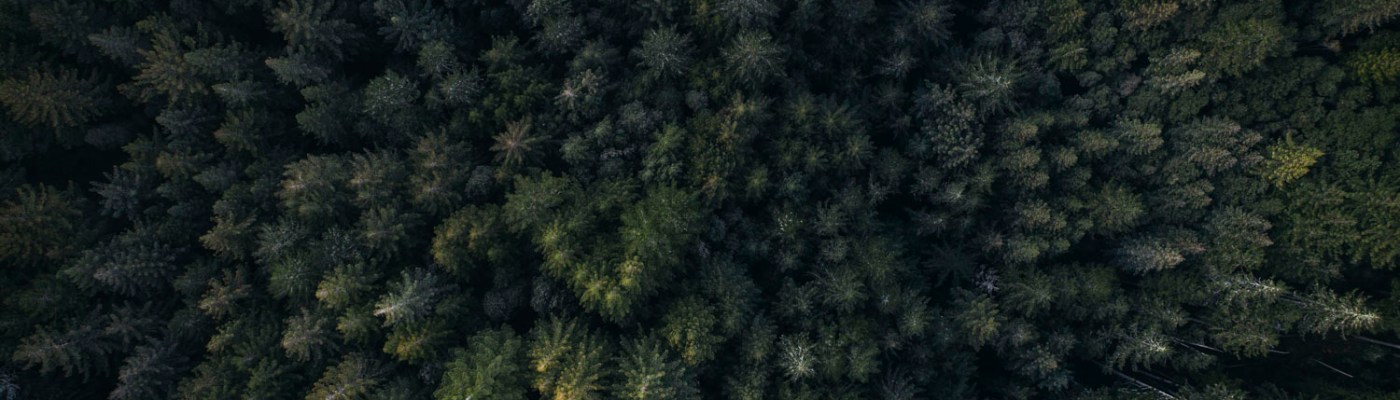 Photo by Adam Torres on Unsplash.com