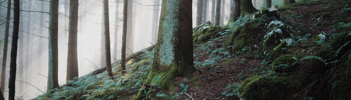 Photo by Alberto Tondo on Unsplash.com