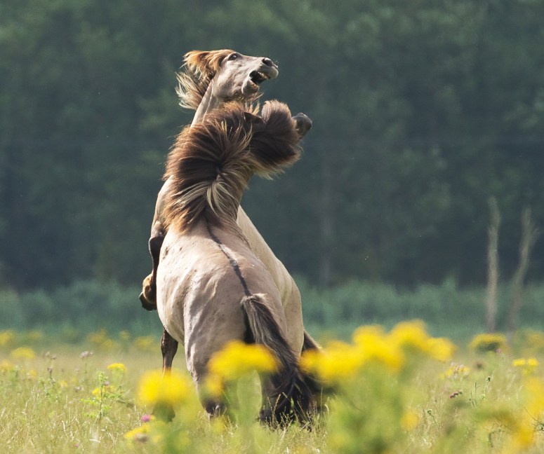 Kuva: Hans Veth, Unsplash.com