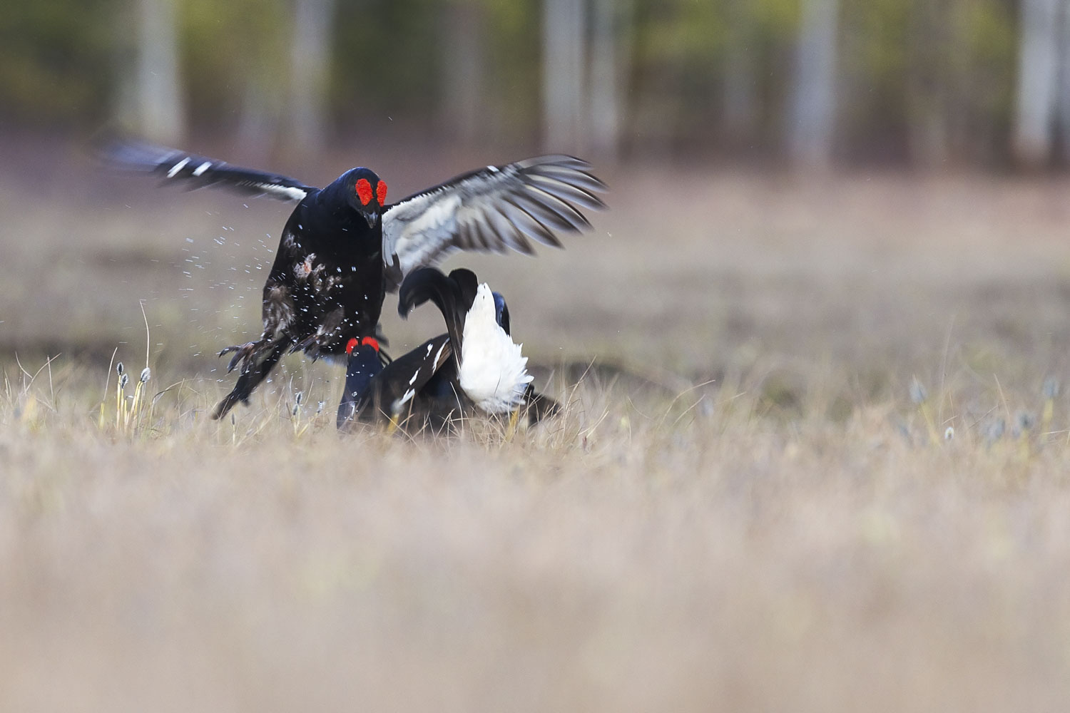 Photo by Hans Veth on Unsplash