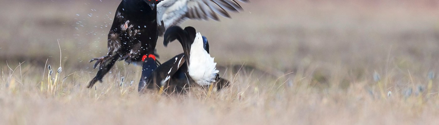 Photo by Hans Veth on Unsplash