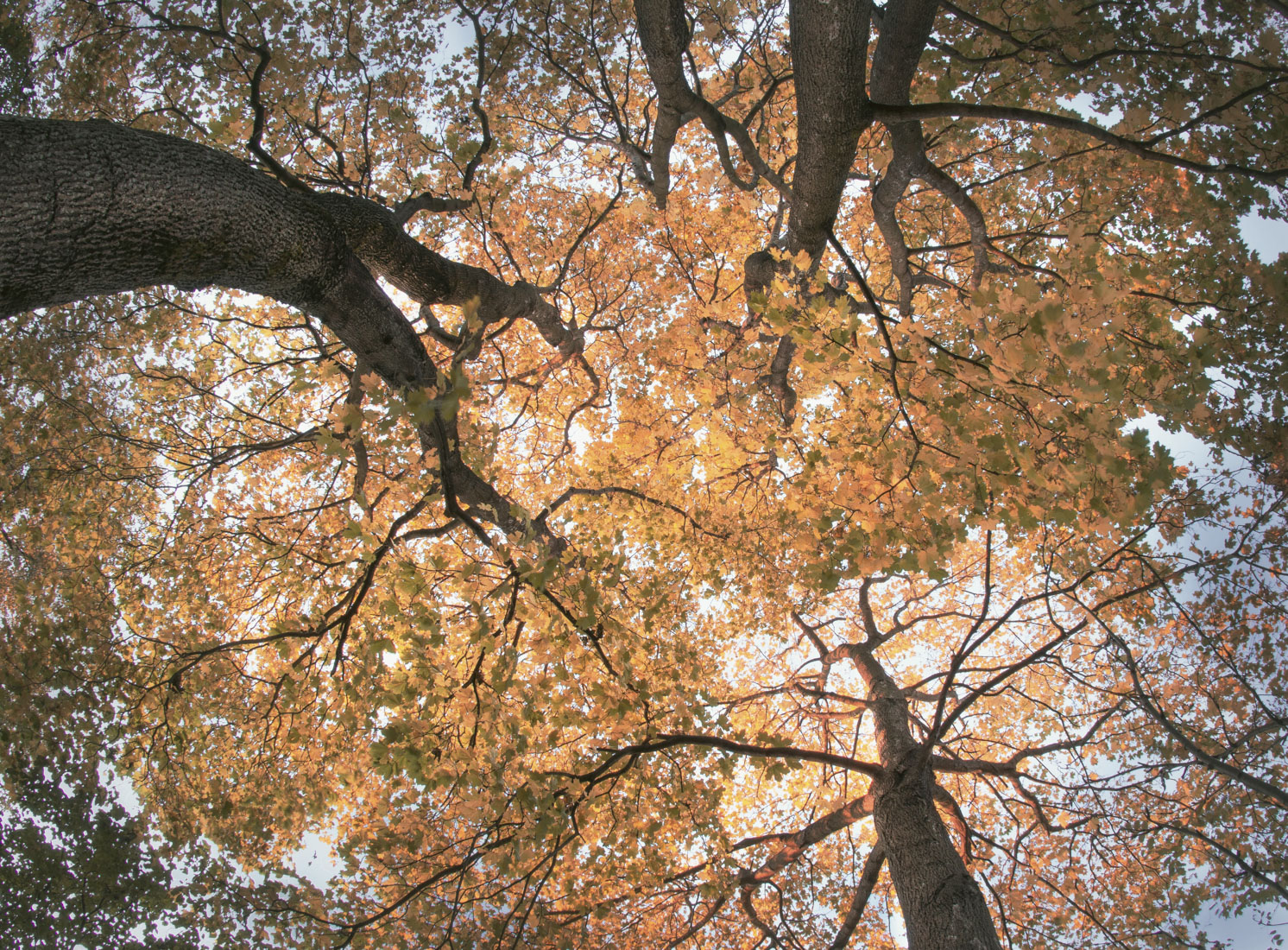 Photo by Joakim Honkasalo on Unsplash.com