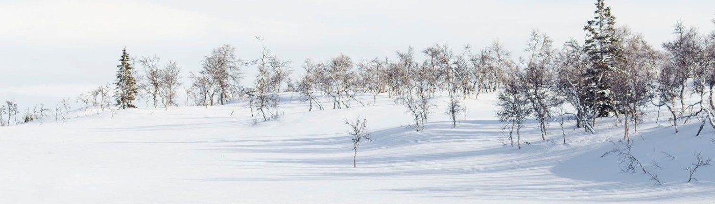 Photo by Jon Flobrant on Unsplash.com