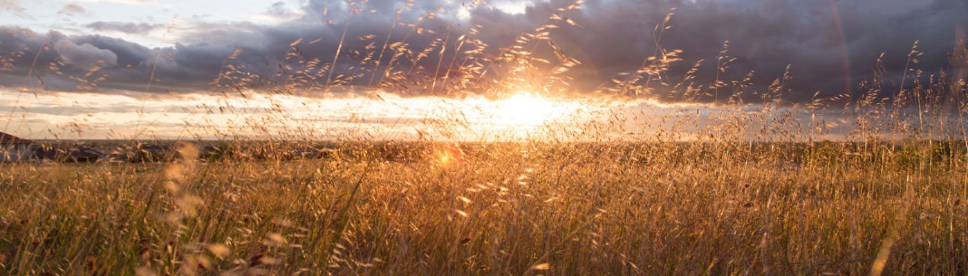 Photo by Jordan Mcqueen on Unsplash.com