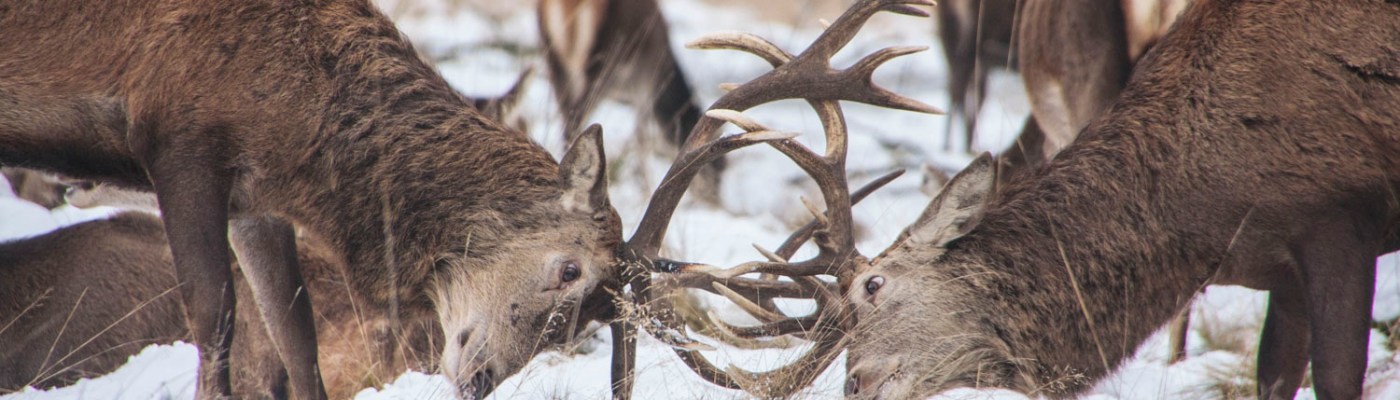 Photo by Ming Jun Tan on Unsplash.com