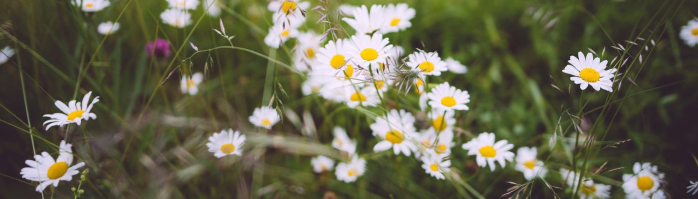 Photo by Niklas Veenhuis on Unsplash.com