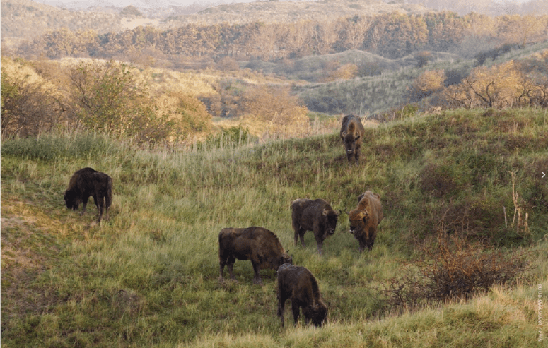 Photo: Ruud Maaskant // PWN